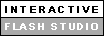 interactive flash studio
